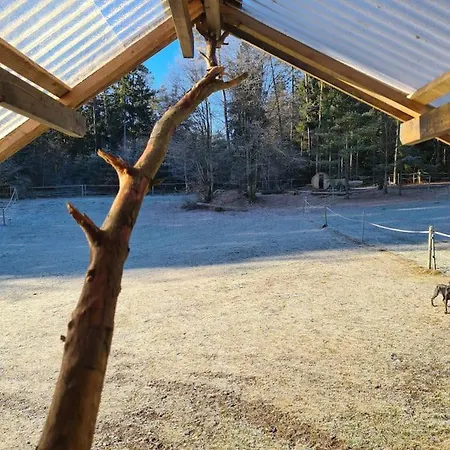 Дом отдыха Holzhuette Allein Am Waldrand