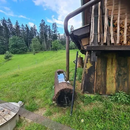 Дом отдыха Holzhuette Allein Am Waldrand Saldenburg