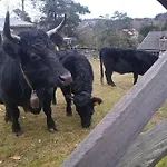 Holzhuette Allein Am Waldrand Casa de Férias *