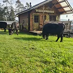 Nyaraló Holzhuette Allein Am Waldrand