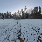 Holzhuette Allein Am Waldrand