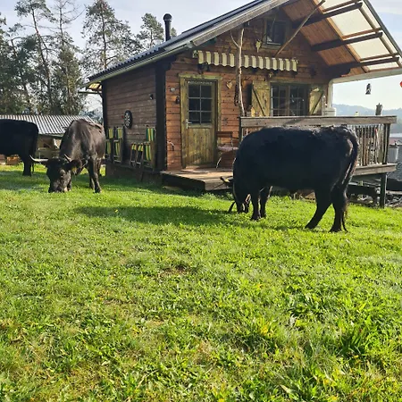 Сasa de vacaciones Holzhütte Allein Am Waldrand
