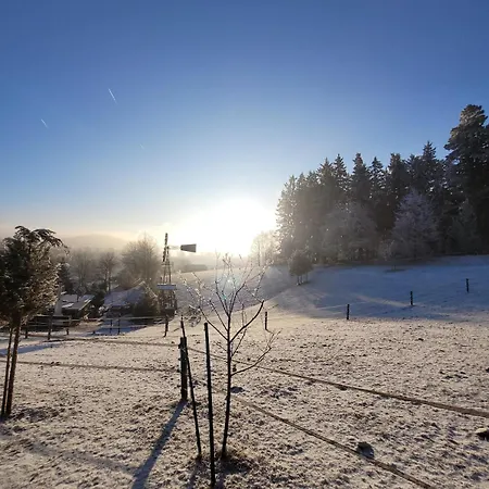 Holzhuette Allein Am Waldrand Saldenburg