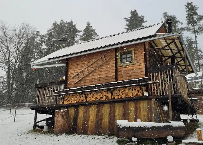 Holzhütte Allein Am Waldrand Ferienhaus Saldenburg