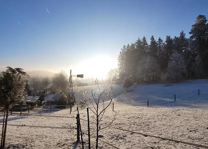 Holzhuette Allein Am Waldrand Saldenburg